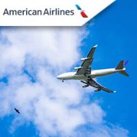 American Airlines image 2